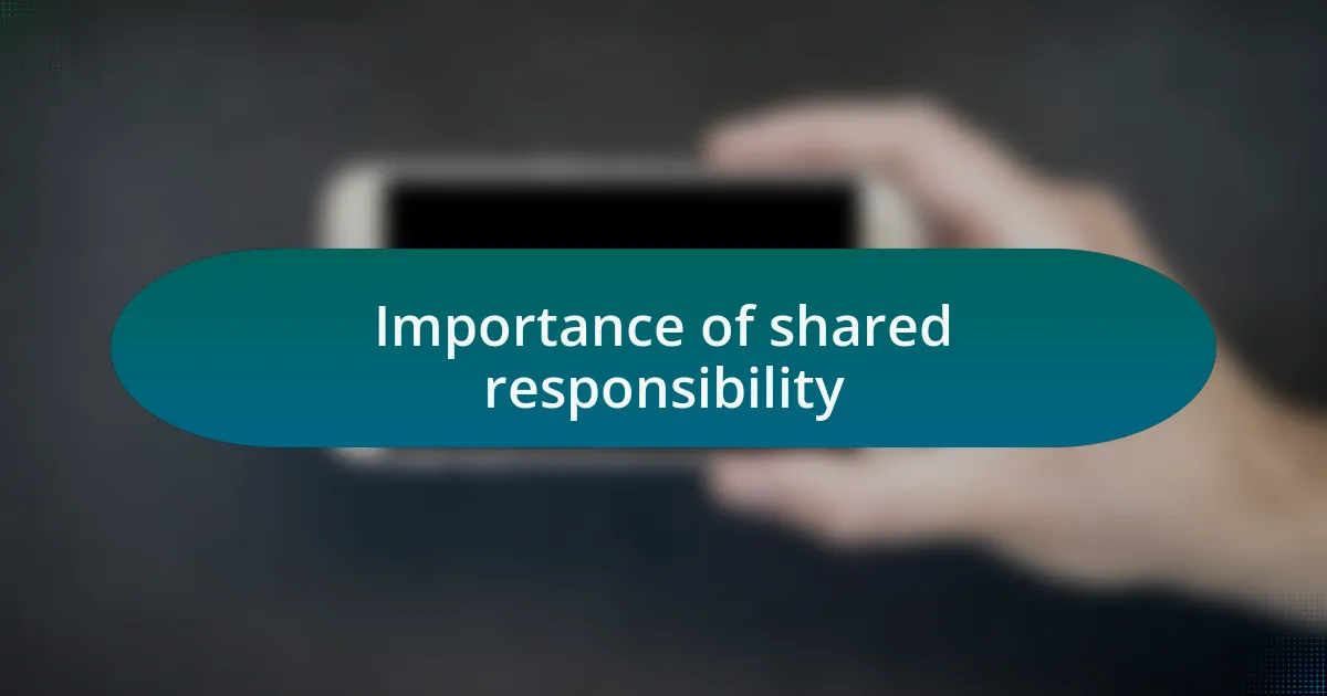 Importance of shared responsibility
