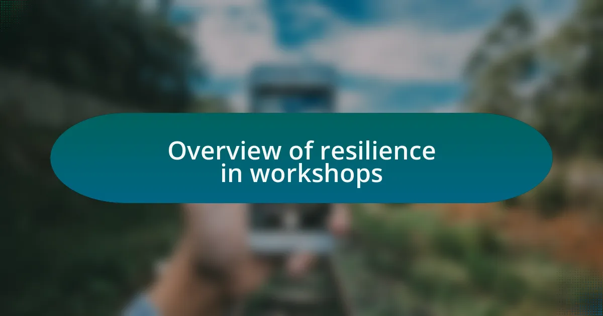 Overview of resilience in workshops