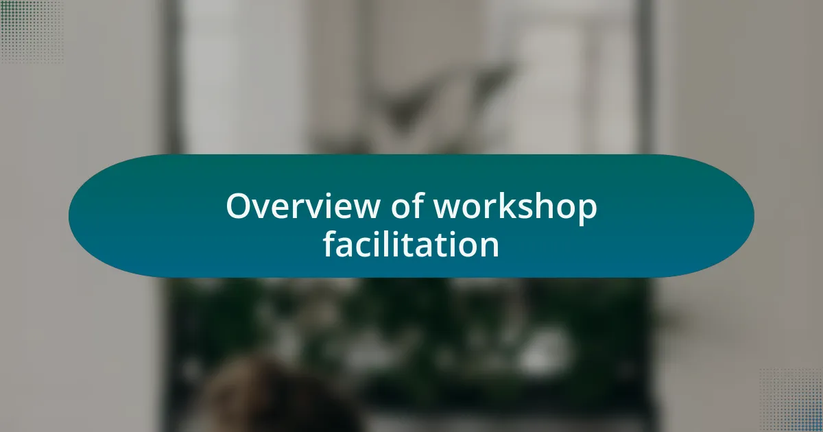 Overview of workshop facilitation