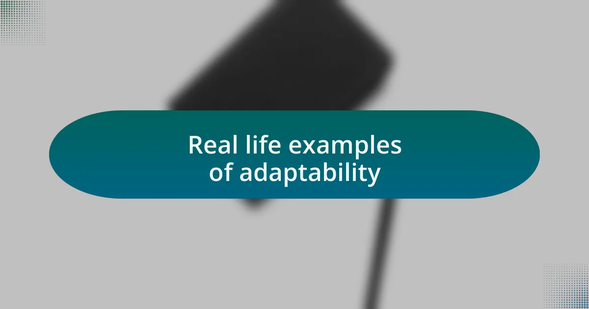Real life examples of adaptability