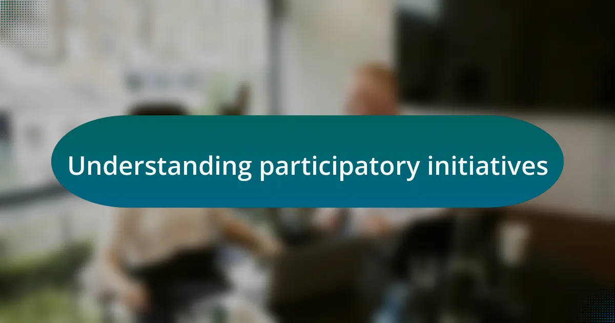 Understanding participatory initiatives
